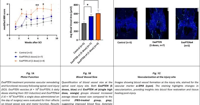 Nurexone (NRX) Reports Breakthrough in Exosomal Technology, Enhancing Healing Potential for Diverse Medical Applications