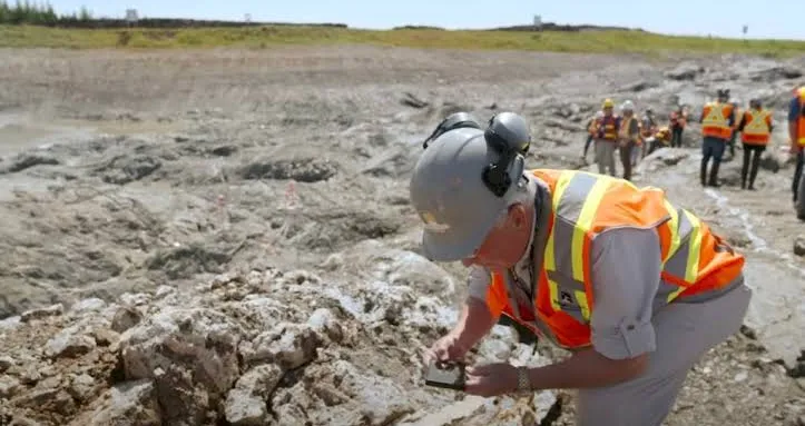 What is happening with New Found Gold (NFG) stock today?