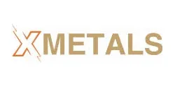 PTX Metals (PTX) Reveals Positive Mineralogical Findings at Meen-Sheep Project, Sparking Optimism for Commercial Viability